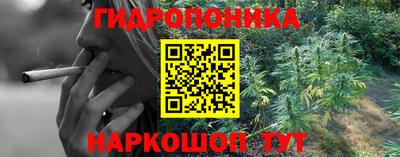 бошки Гусь-Хрустальный