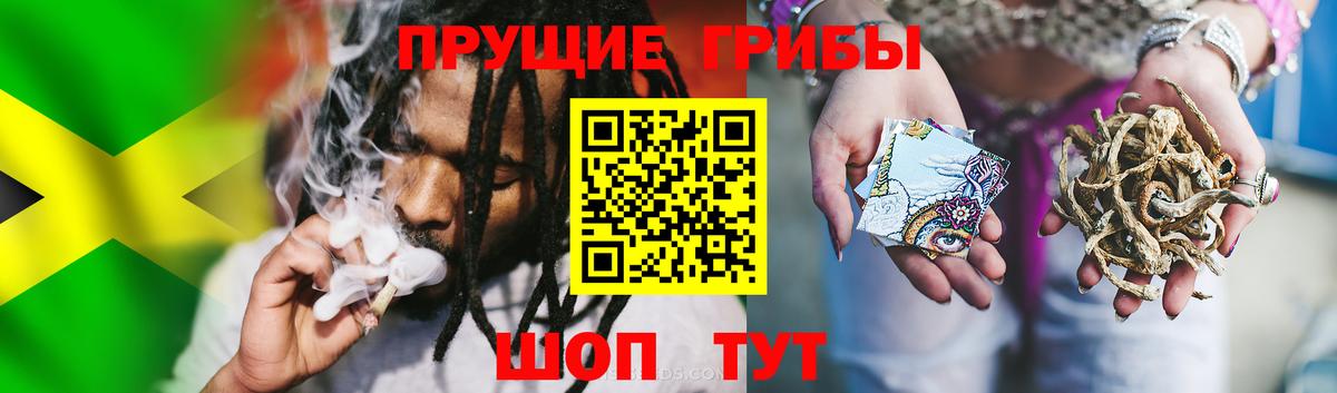Псилоцибиновые грибы прущие грибы  Галлюциногенные грибы MAGIC MUSHROOMS  Вход с VPN  где купить наркоту  Мелеуз 
